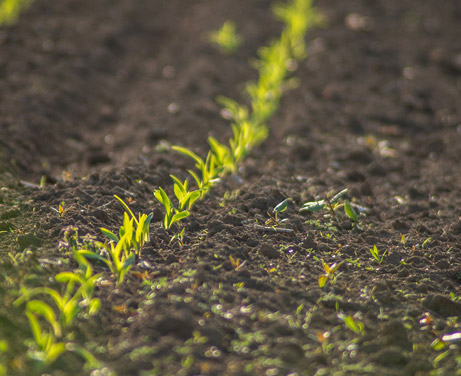 Life Event Planning - Dryden Partners